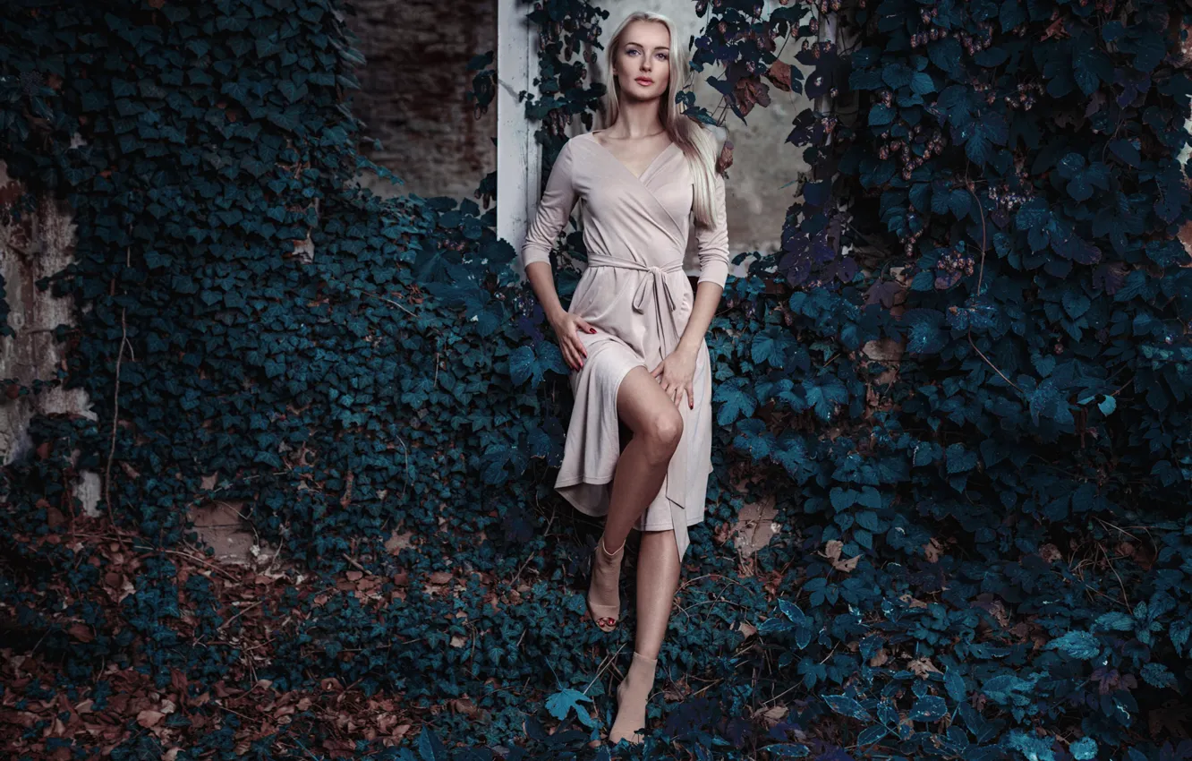 Фото обои девушка, поза, фон