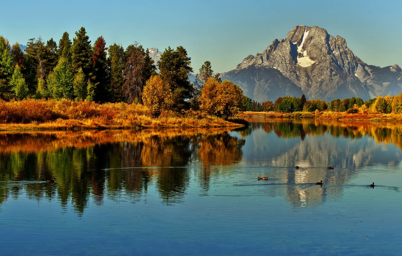 Фото обои осень, лес, небо, деревья, закат, горы, река, утки