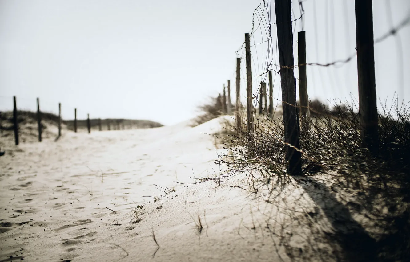 Фото обои песок, пляж, фон, забор