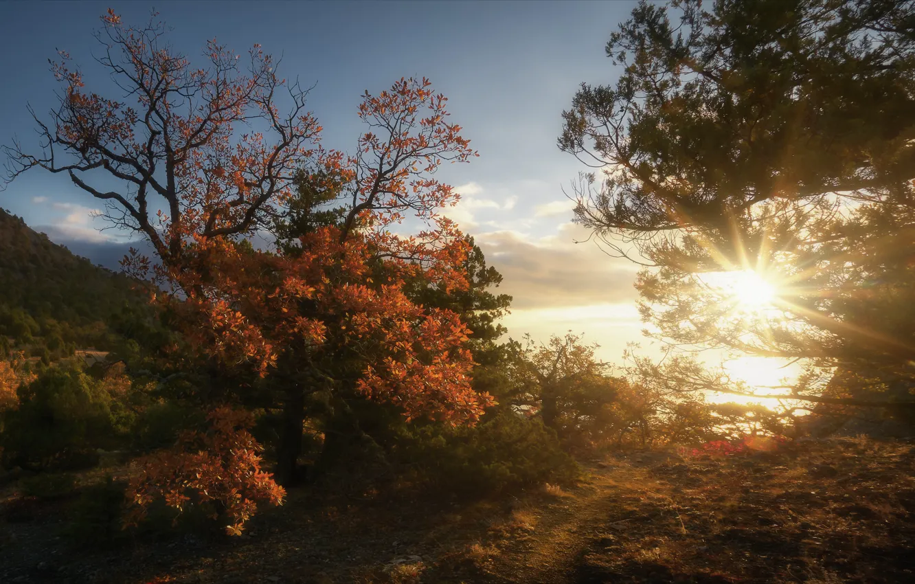 Фото обои осень, солнце, пейзаж, закат, природа, Крым, Новый Свет, Алексей Богорянов
