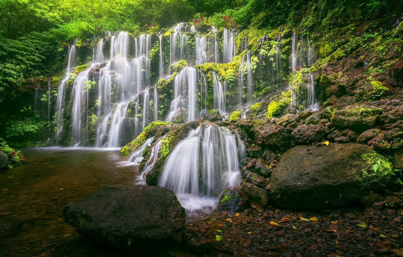 Фото обои лес, река, камни, водопад, Бали, Индонезия, каскад, Bali