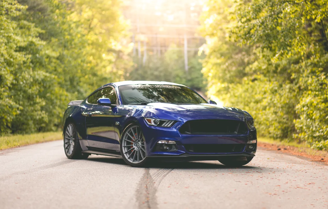 Фото обои Mustang, Ford, Blue, 5.0, 2015