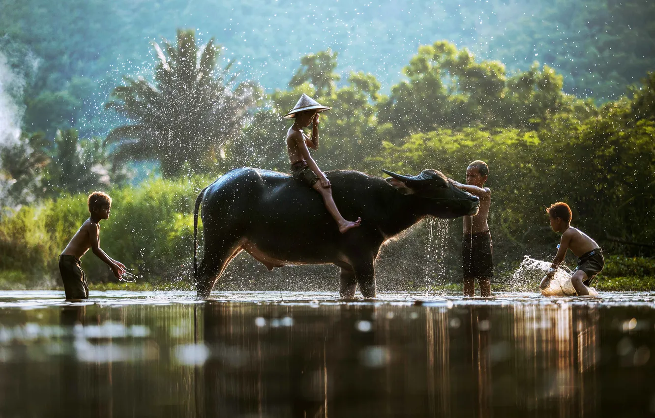 Фото обои Nature, Thailand, Man, People