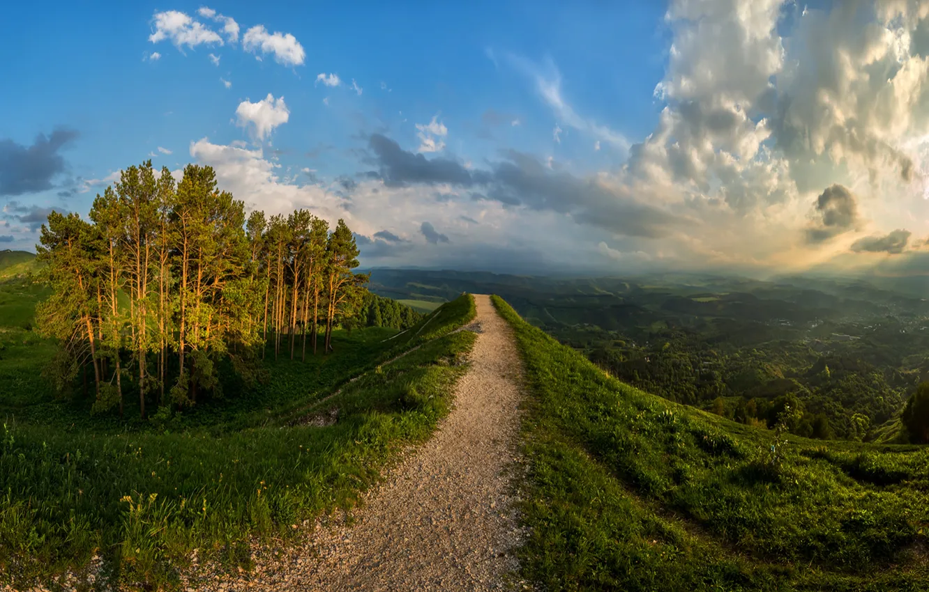 Фото обои ландшафт, Тропинка, холм, сосны