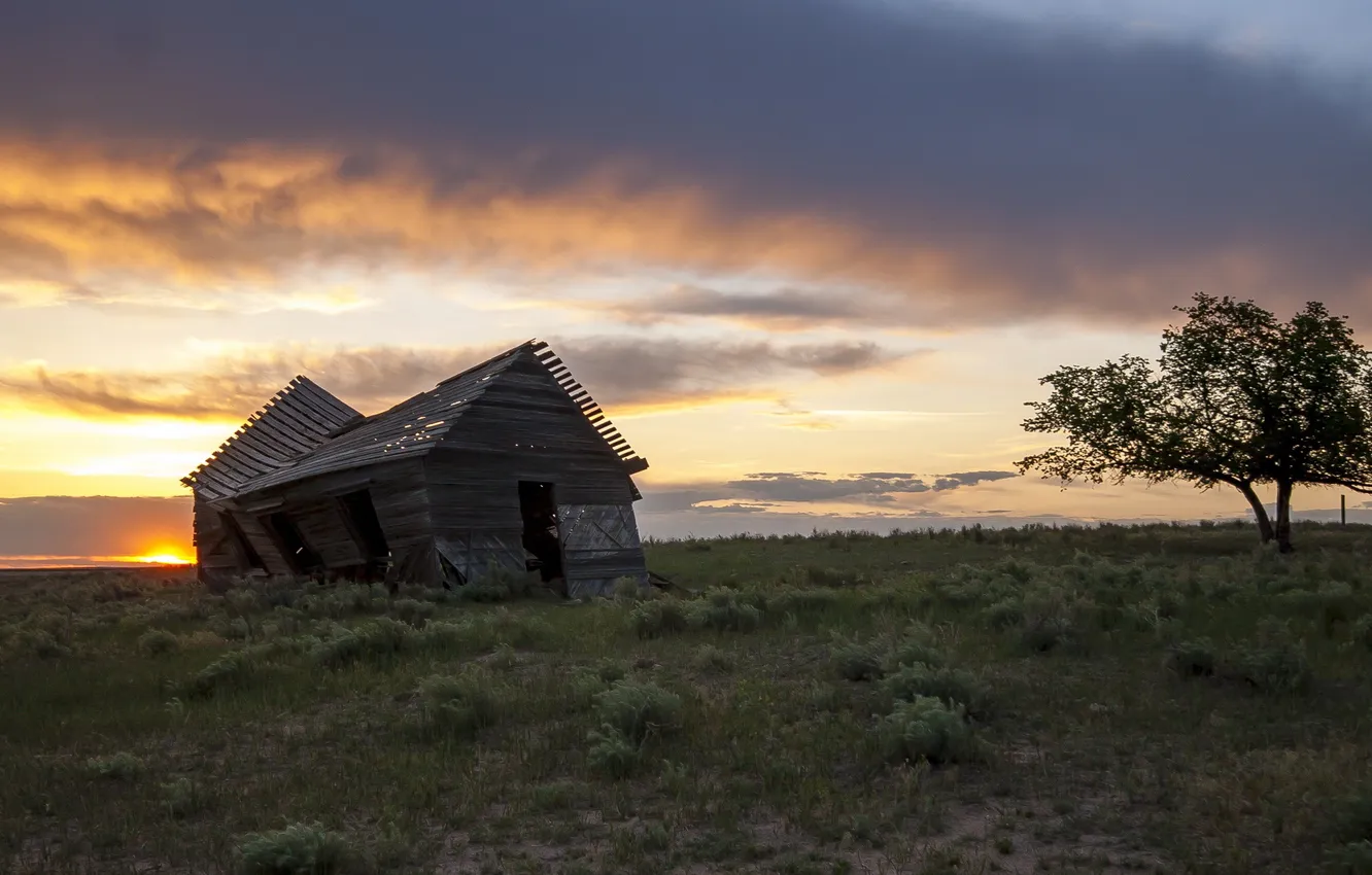 Фото обои поле, пейзаж, закат, дом