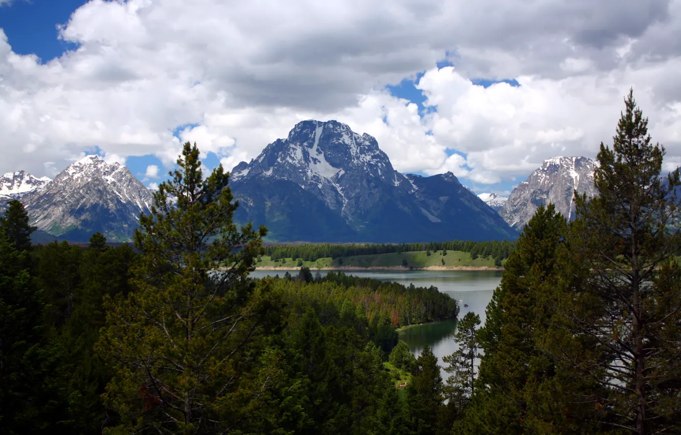 Фото обои лес, облака, деревья, горы, река, США, Wyoming, Grand Teton National Park