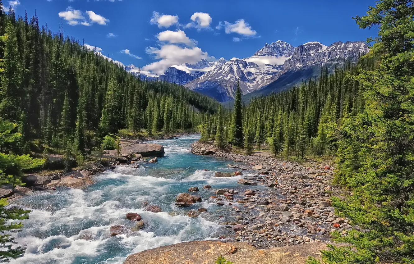 Фото обои лес, горы, река, Канада, Альберта, Banff National Park, Alberta, Canada