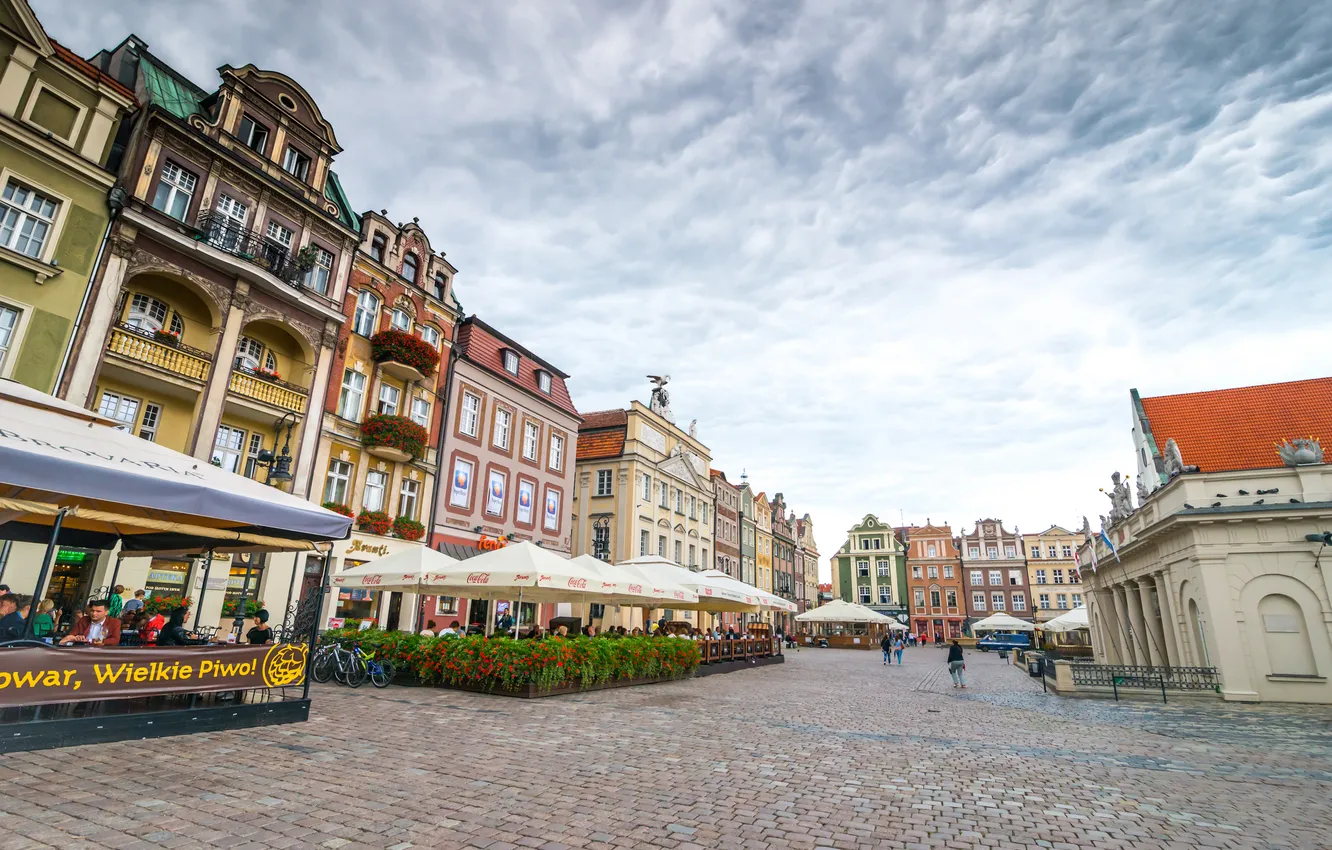 Фото обои цветы, велосипед, город, здания, дома, Польша, кафе