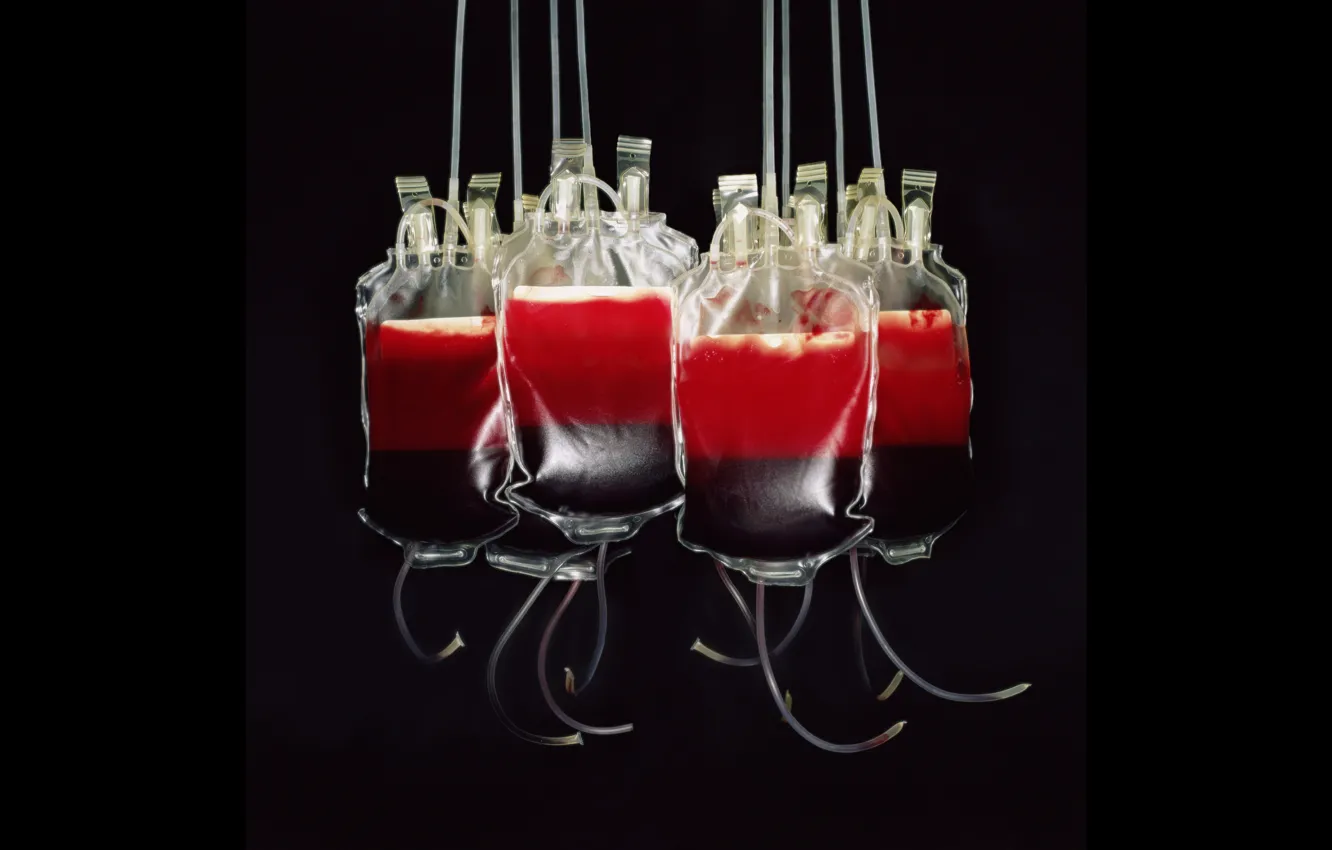 Фото обои blood bags, blood transfusion, blood donation