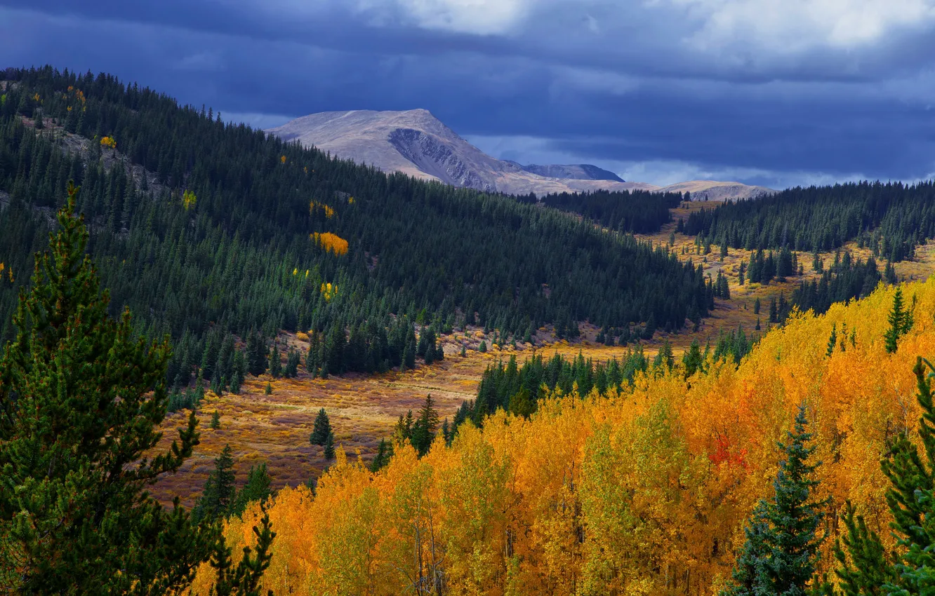 Фото обои осень, лес, горы, осень в горах