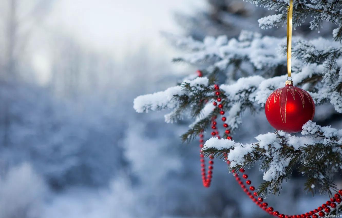 Фото обои снег, новый год, шар, рождество, ёлка, christmas