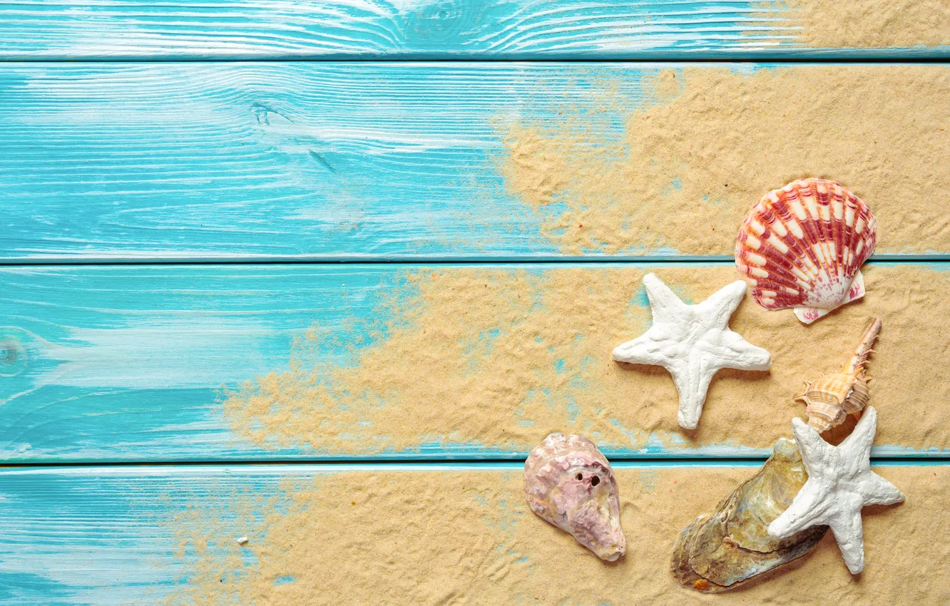 Фото обои песок, фон, ракушки, beach, wood, background, sand, seashells