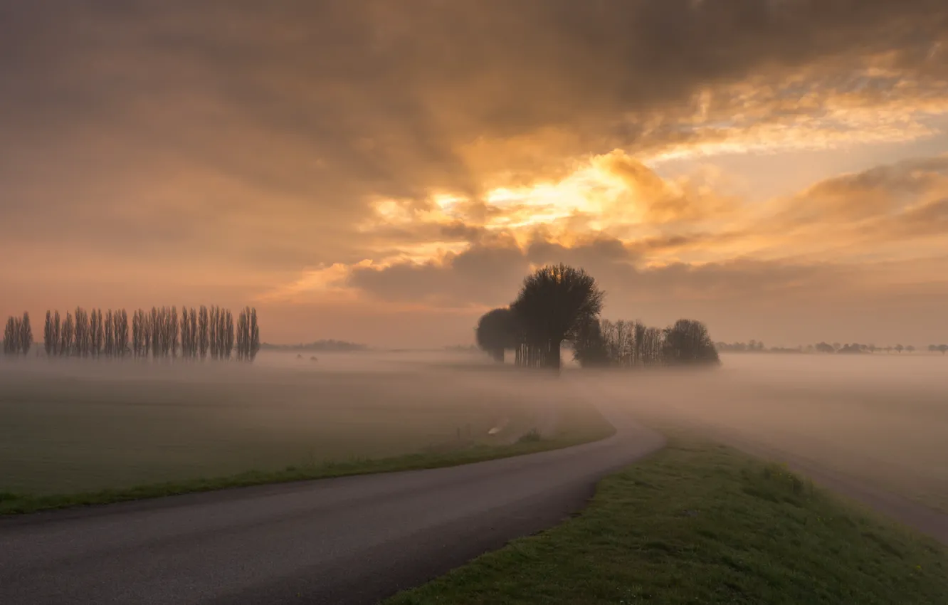 Фото обои дорога, небо, облака, деревья, закат, туман, Поле, вечер
