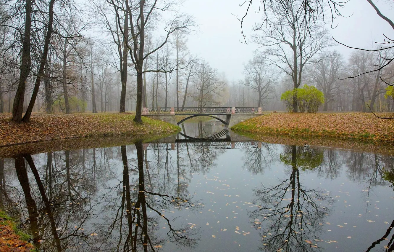 Фото обои осень, мост, отражение, речка, Царское Село