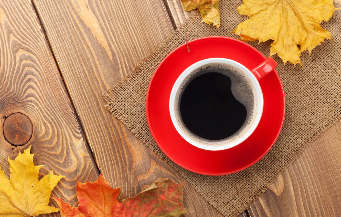 Фото обои осень, чашка, клён, autumn, leaves, cup, coffee, fall