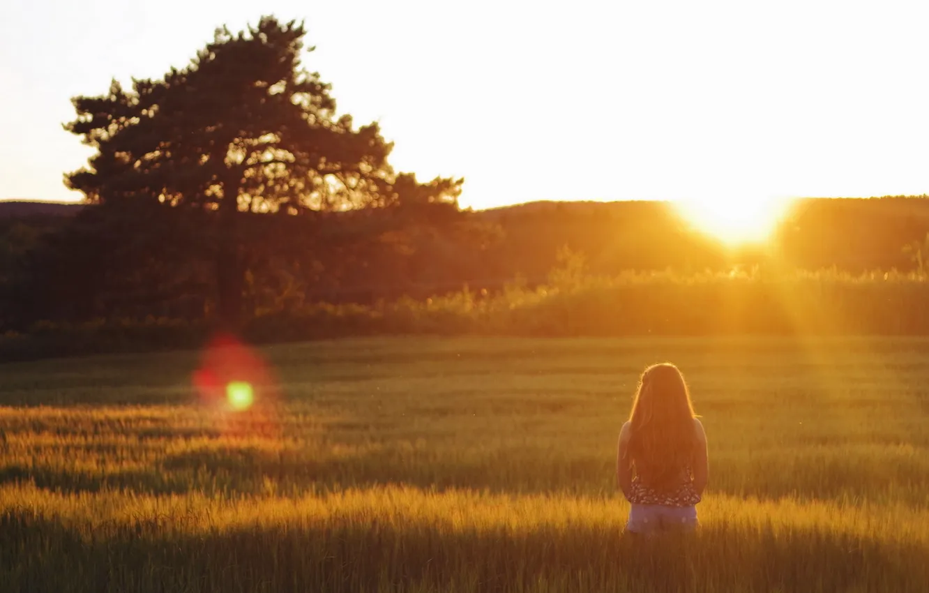 Фото обои поле, лето, девушка, закат, настроение