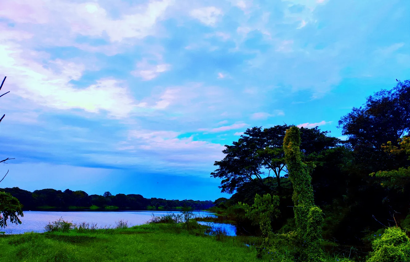 Фото обои Clouds, Sky, Grass, Water, Sunrise, Dawn, Morning, Lake