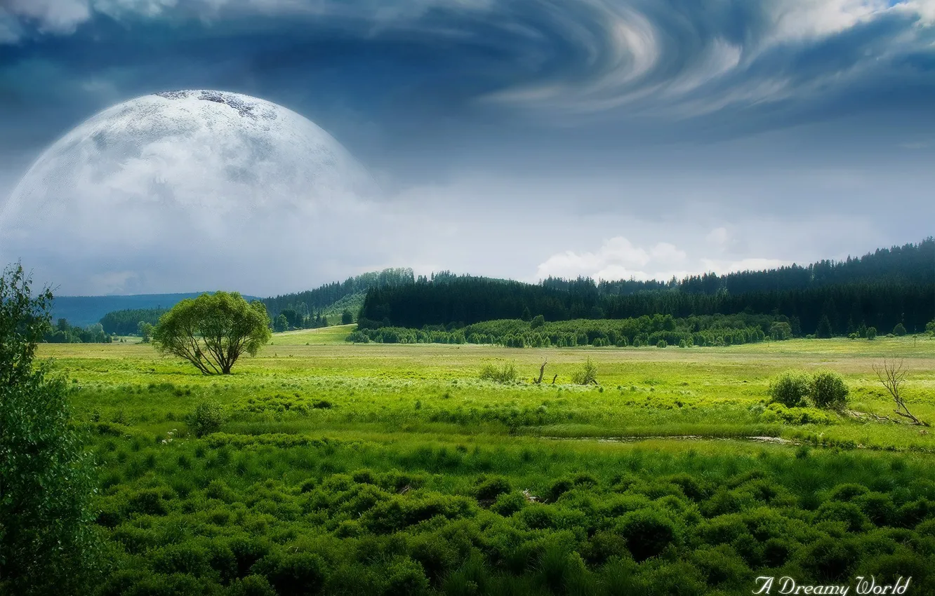 Фото обои поле, лес, облака, луна, Dreamy World