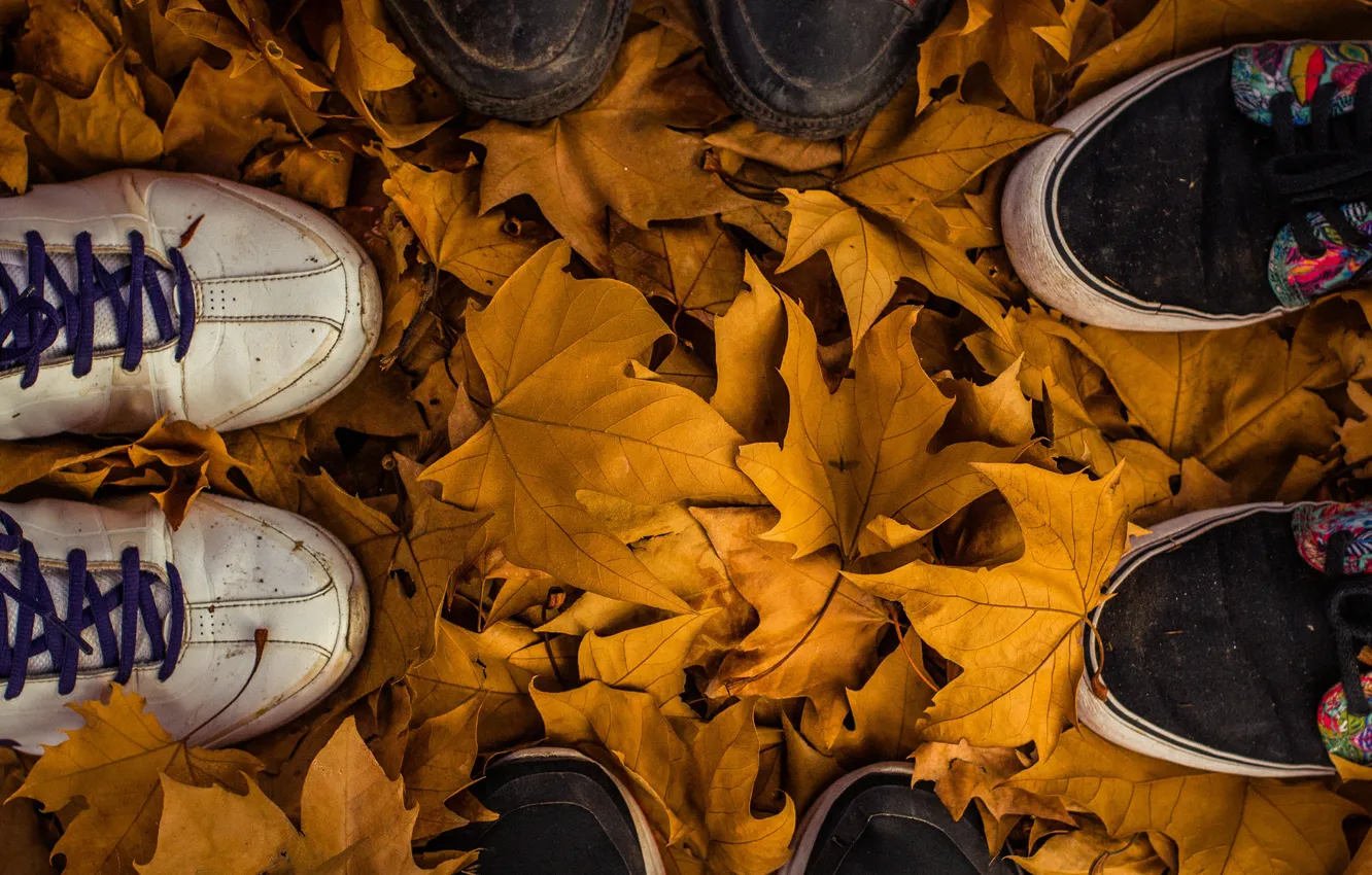 Фото обои autumn, leaves, fall, feet