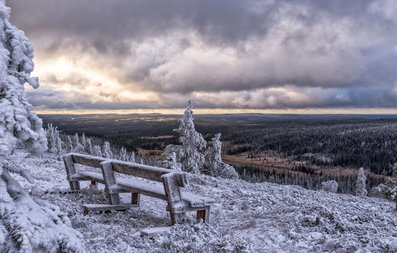 Фото обои зима, Финляндия, Finland, Posio