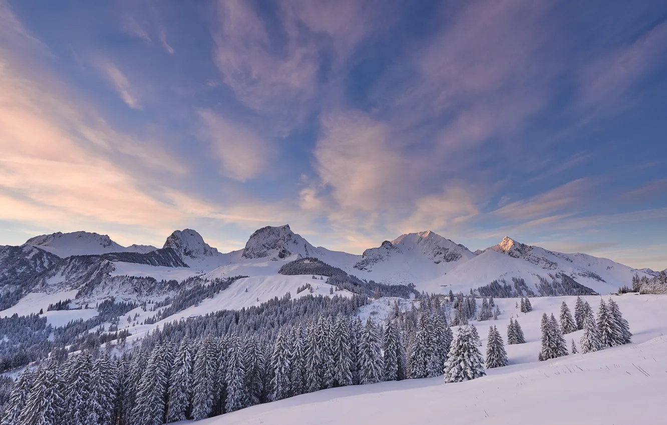 Фото обои зима, иней, лес, небо, облака, горы, в снегу, склоны