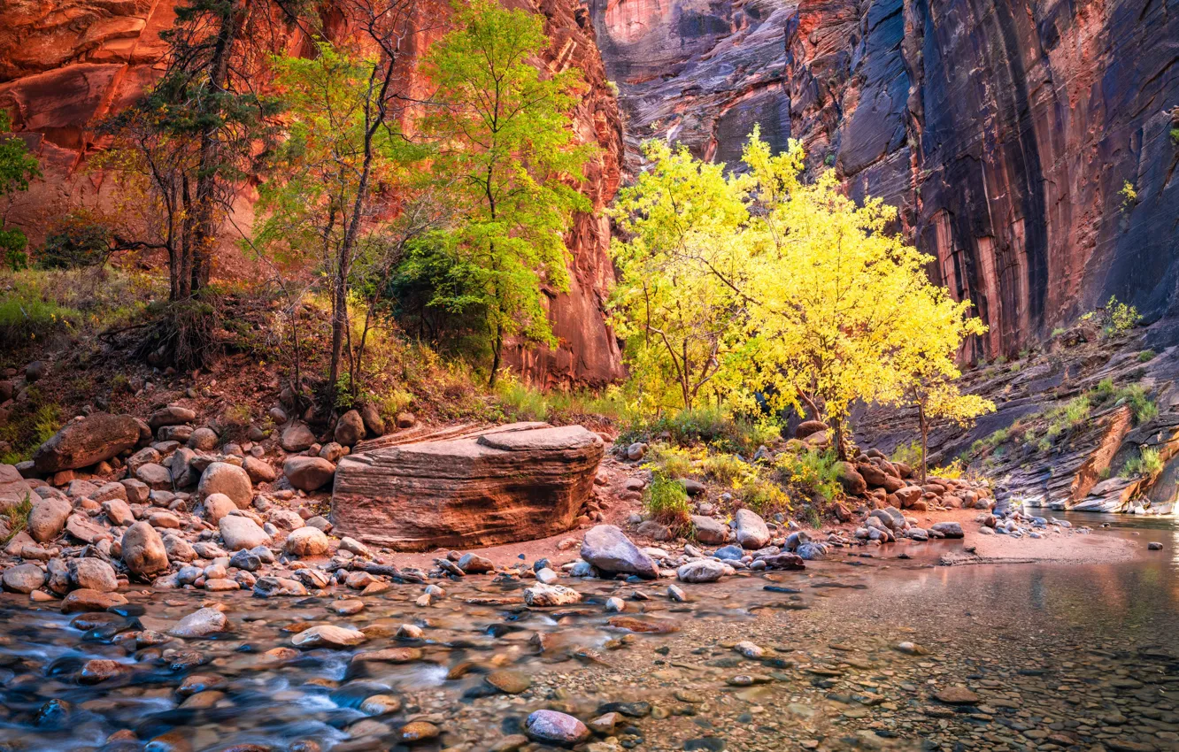 Фото обои Юта, США, Zion National Park