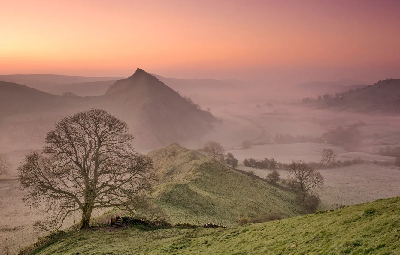 Фото обои горы, туман, дерево, Англия, утро, долина