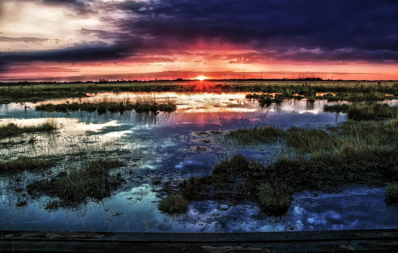 Фото обои солнце, закат, тучи, болото, горизонт