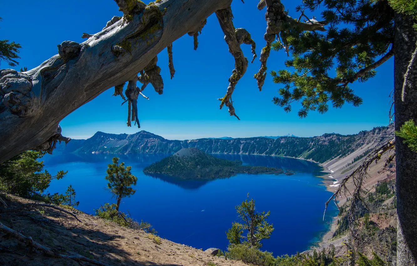 Фото обои деревья, остров, Орегон, Oregon, Crater Lake, Crater Lake National Park, Озеро Крейтер
