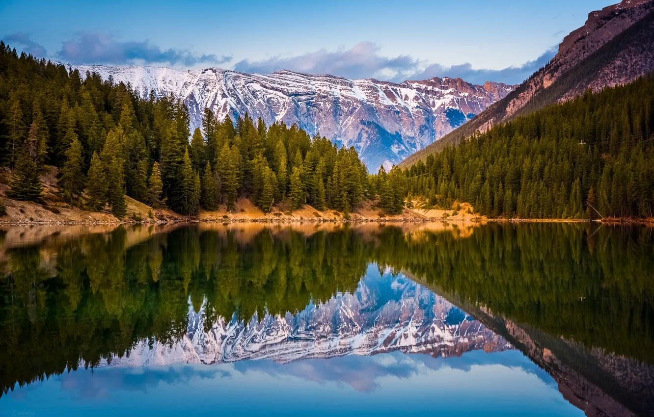 Фото обои лес, отражения, горы, озеро, Канада, Альберта