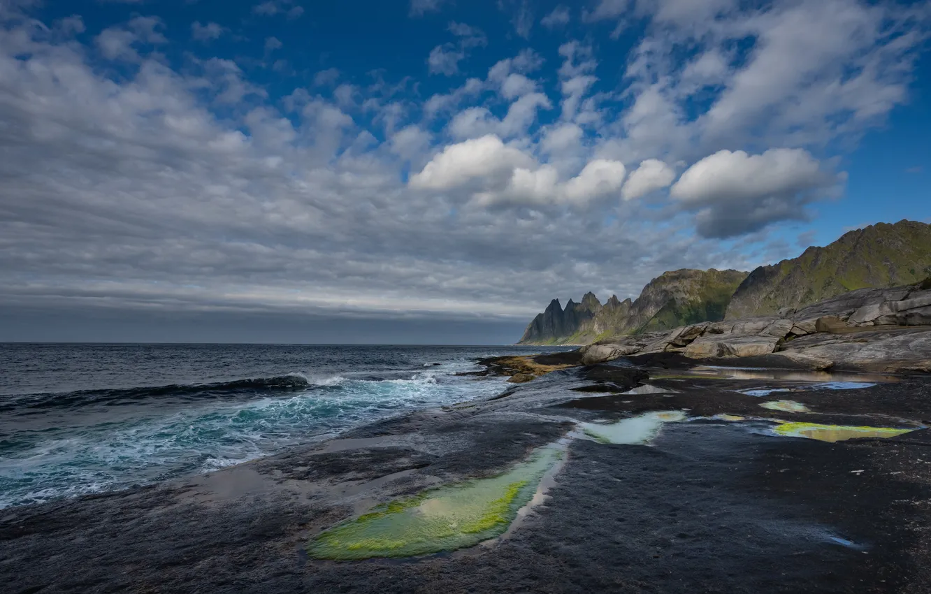 Фото обои море, облака, горы, Норвегия, Senja, робережье