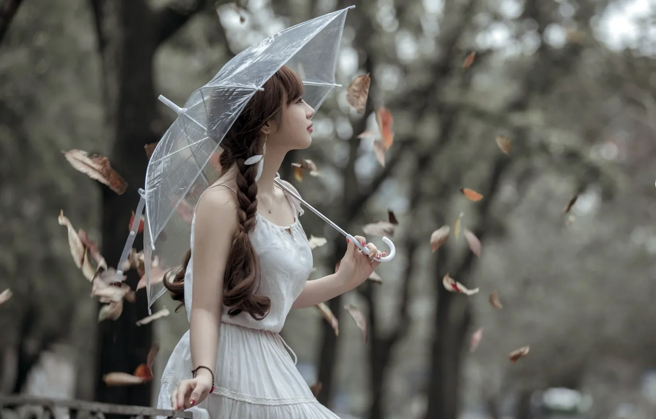 Фото обои листья, девушка, зонт