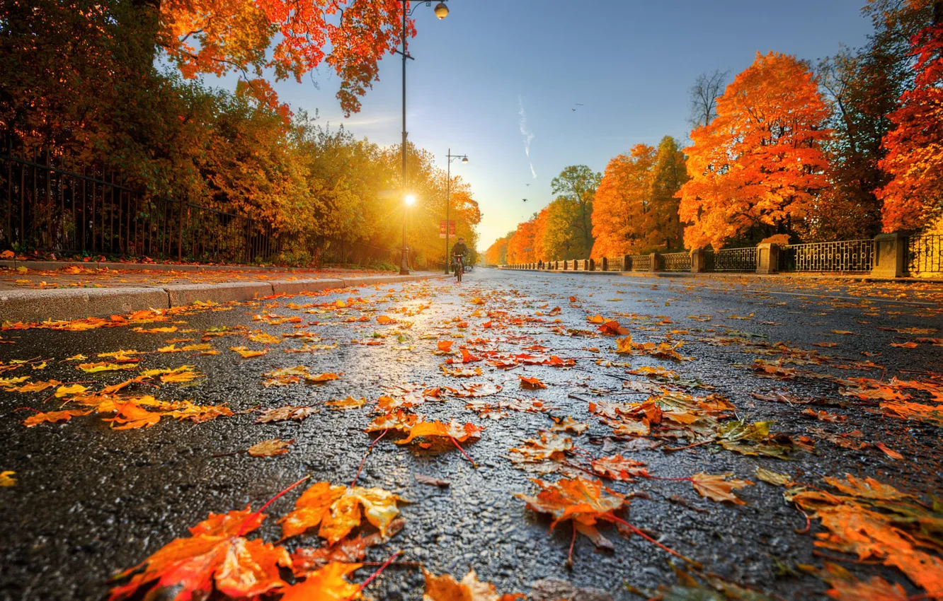Фото обои золотая осень, Ed Gordeev, Царское Село, дорога в даль