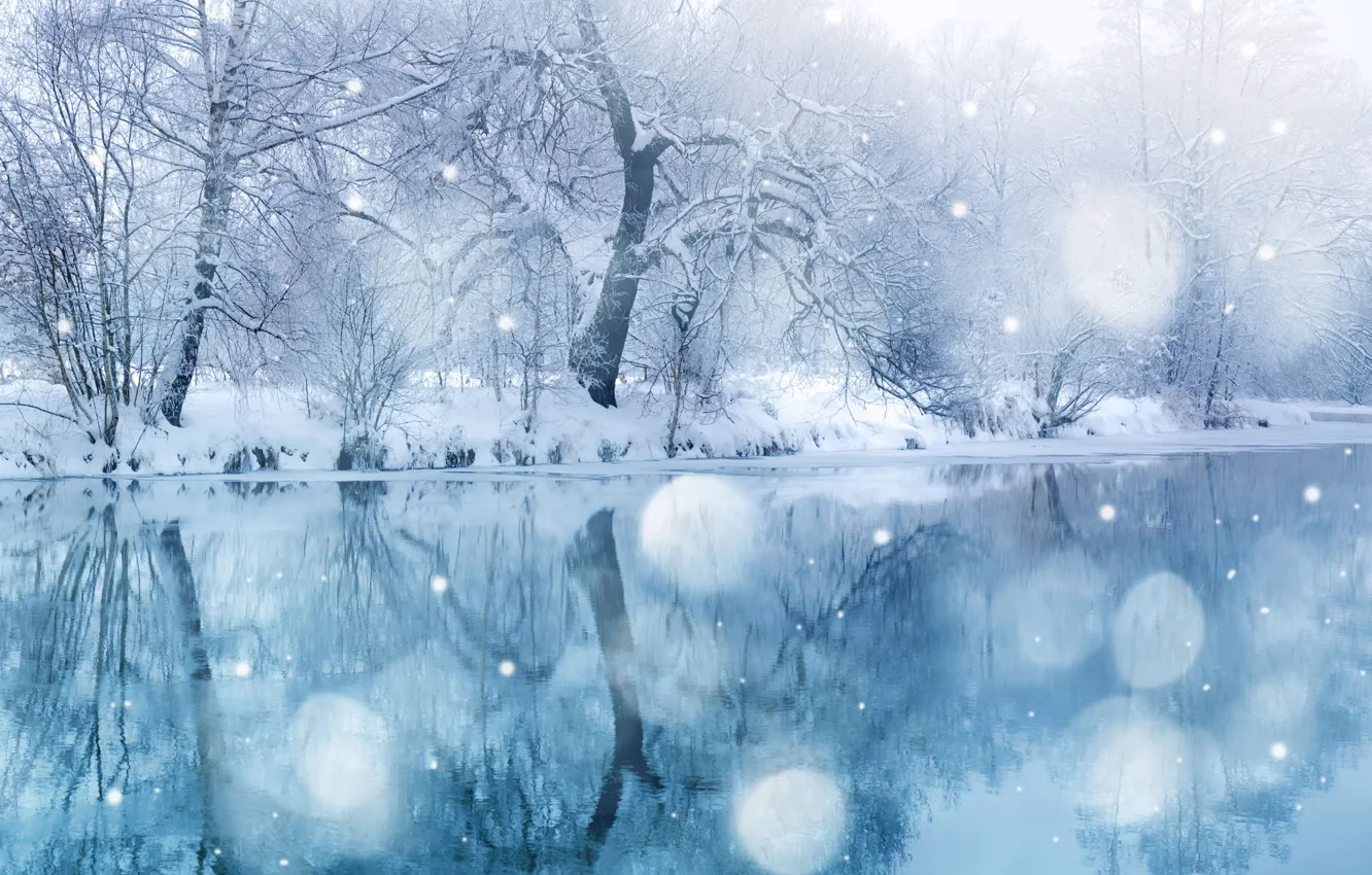 Фото обои зима, деревья, пейзаж, сказка, снегопад, Winter beauty, snow wonderland, blue covering