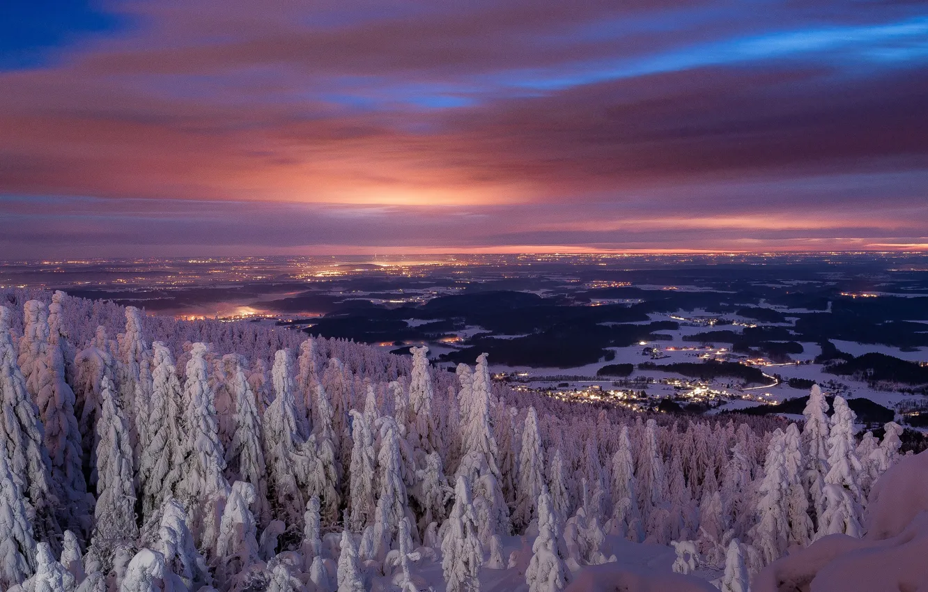 Фото обои зима, снег, деревья, пейзаж, закат, природа, ели, леса