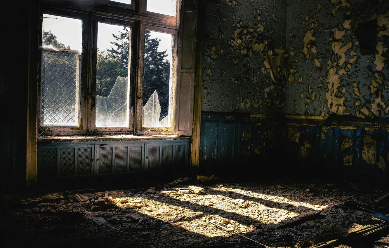 Фото обои свет, комната, окно, разруха, заброшенность, помещение, плесень