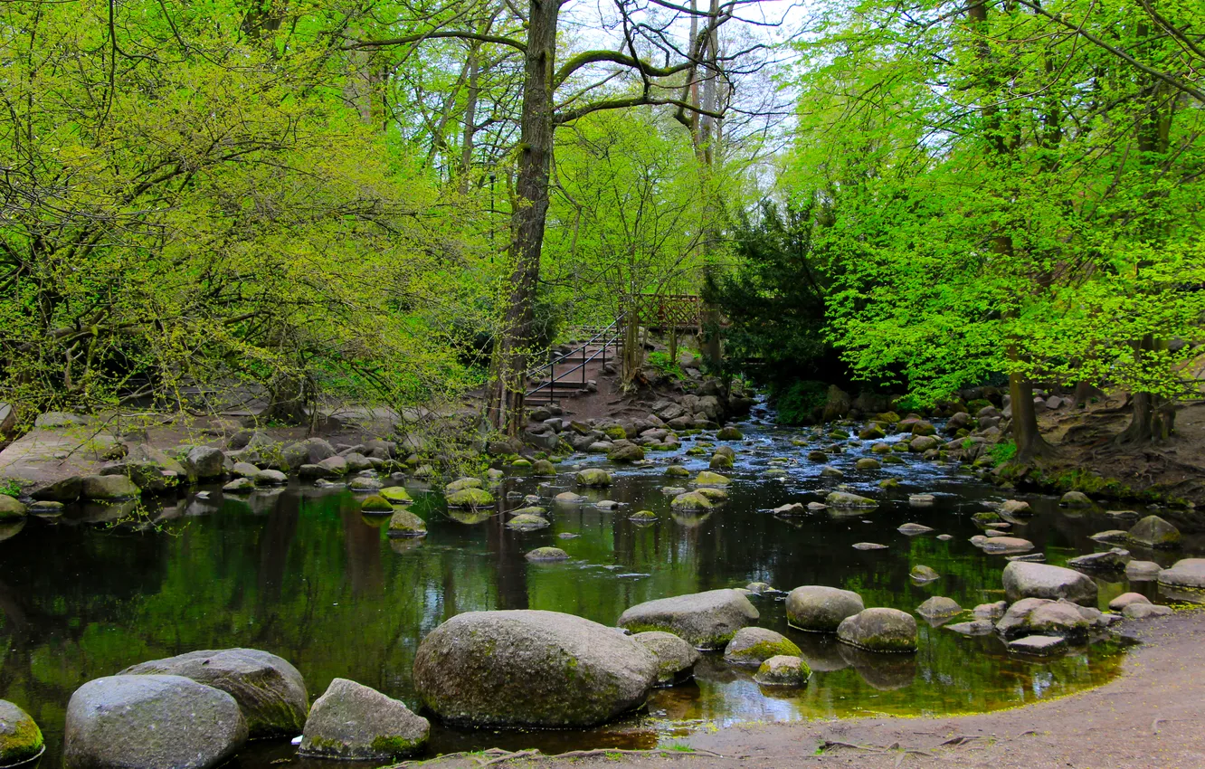 Фото обои river, water, park, tree, stones