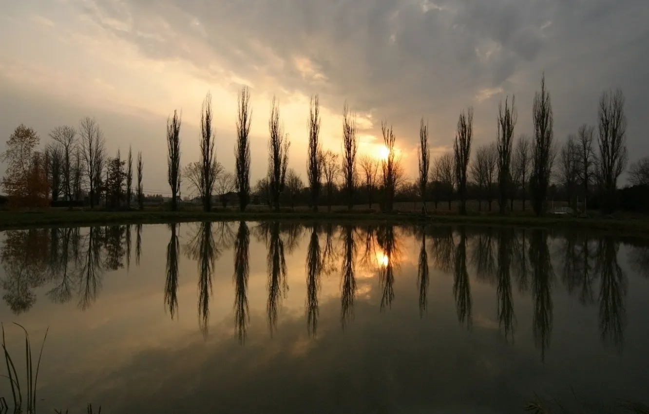 Фото обои деревья, пруд, Закат, Солнце