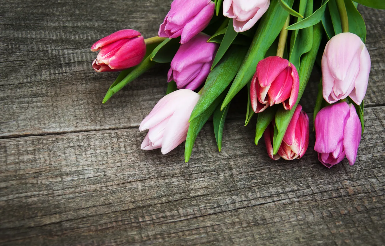 Фото обои цветы, букет, colorful, тюльпаны, wood, pink, flowers, tulips