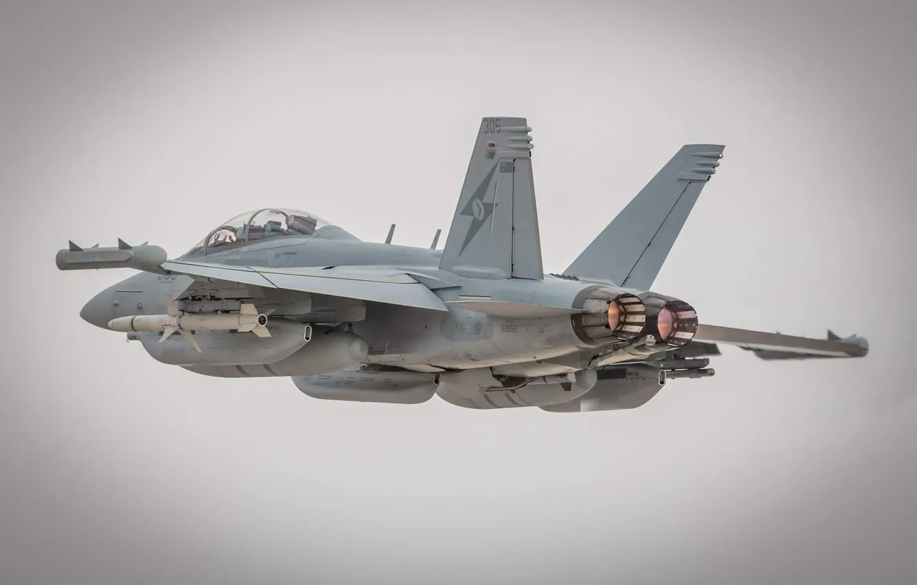 Фото обои USAF, Самолет РЕБ, ПТБ, AIM-120 AMRAAM, Контейнер РЕБ ALQ-21, AGM-88 HARM, Boeing EA-18G Growler
