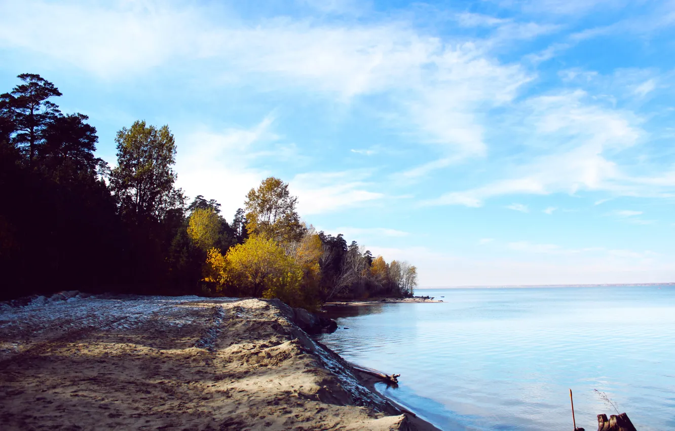 Фото обои песок, море, осень, лес, небо, вода, деревья, река