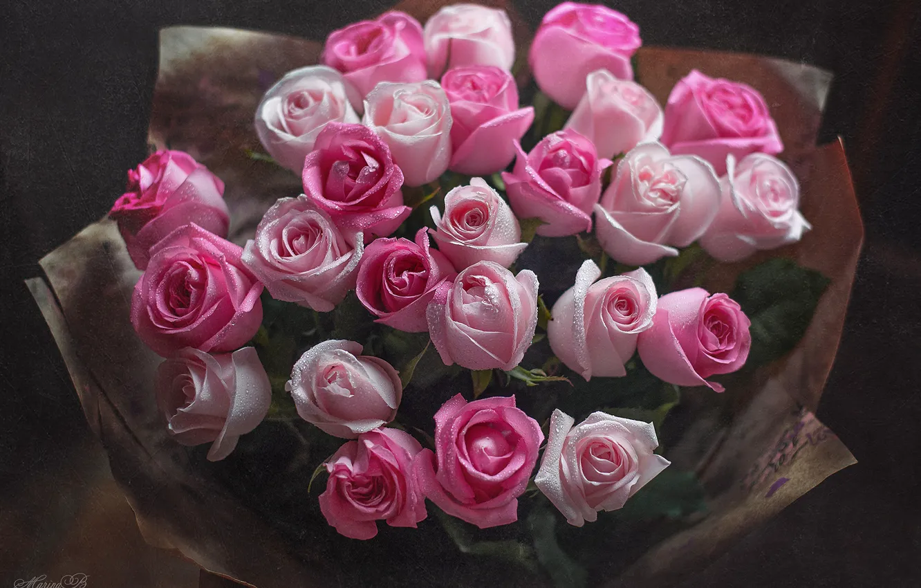 Фото обои капли, розы, букет, розовые, бутоны, Marina Baccardi