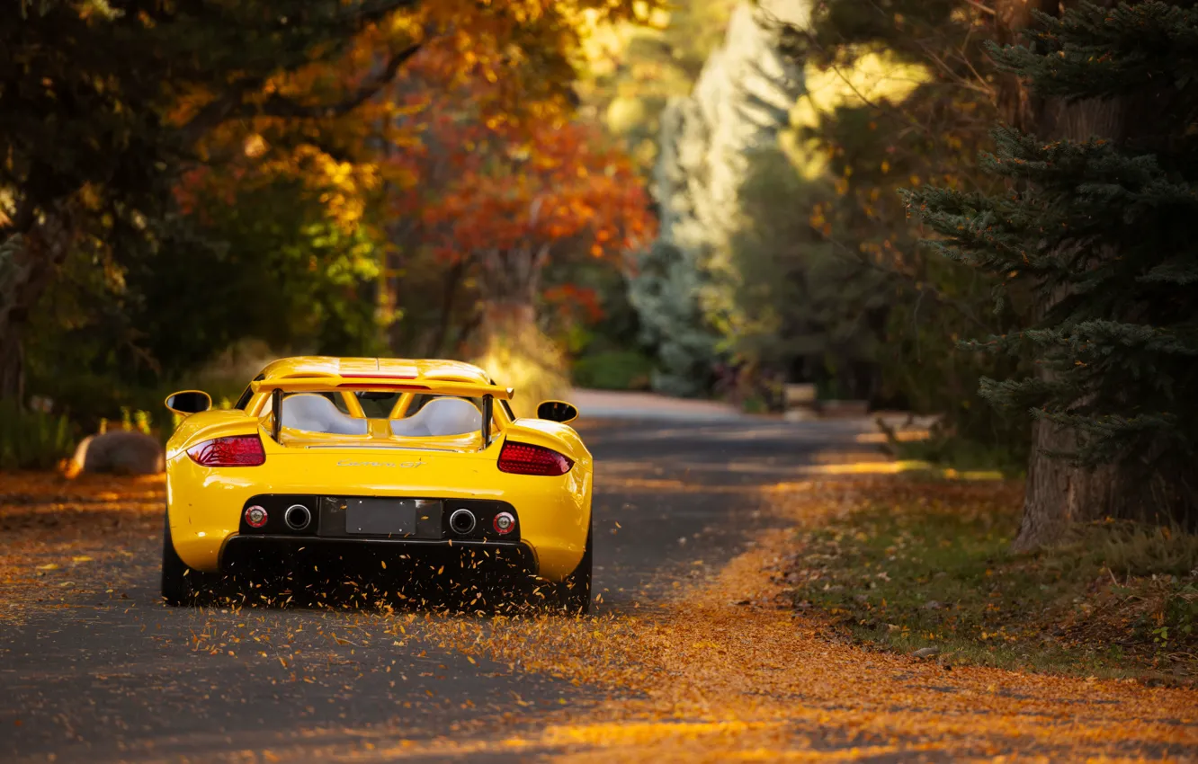 Фото обои car, Porsche, road, Porsche Carrera GT