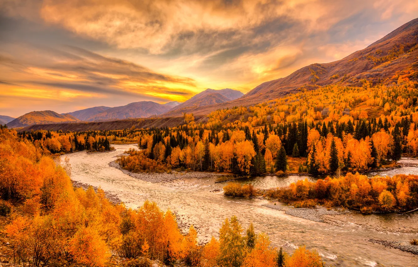 Фото обои осень, лес, небо, деревья, пейзаж, горы, тучи, река