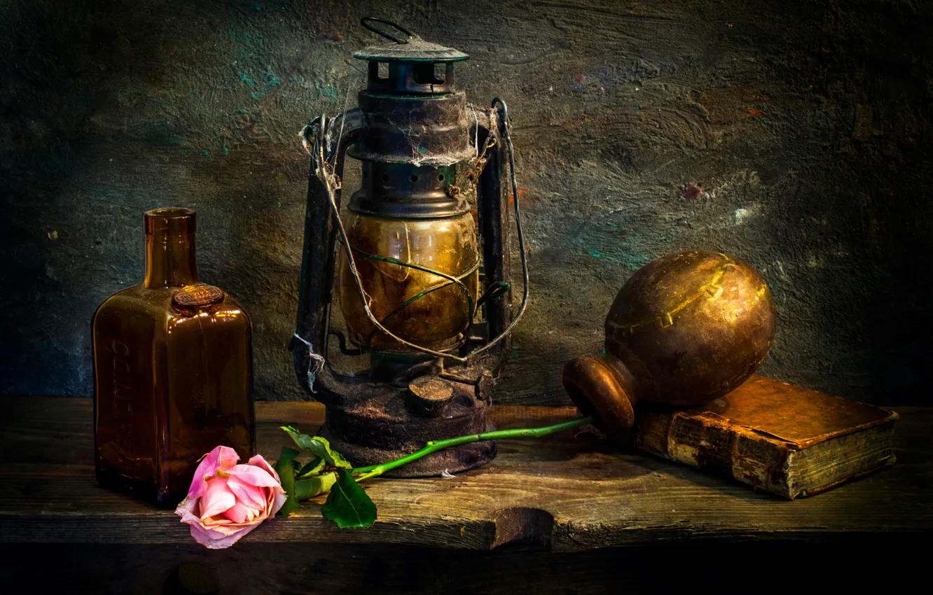 Фото обои роза, лампа, пыль, книга, Love-lorn