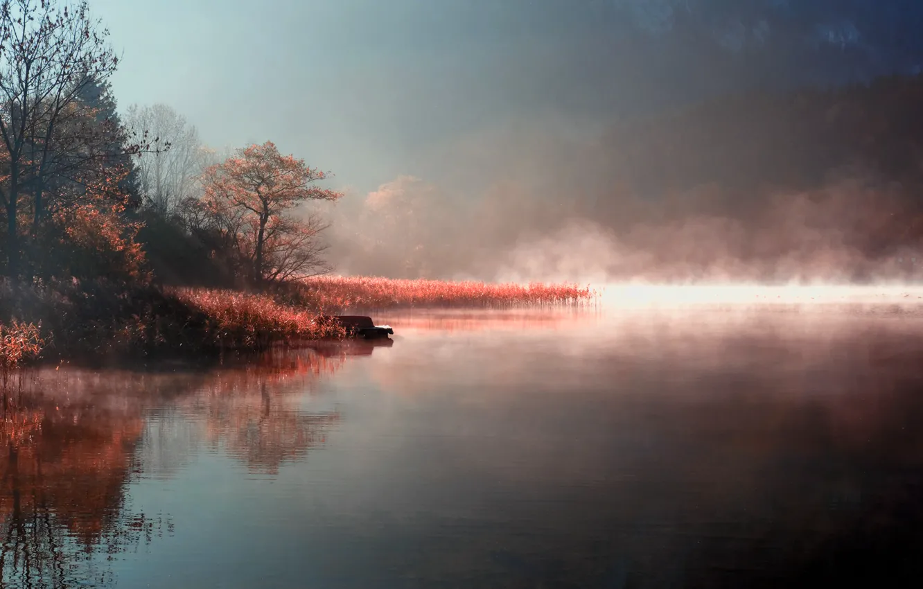 Фото обои осень, природа, туман, озеро, река, берег, утро, пар