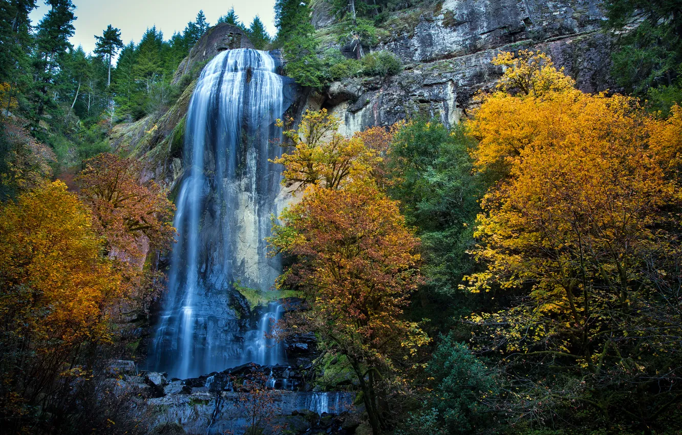 Фото обои осень, природа, скала, водопад, Silver Falls, Western Oregon