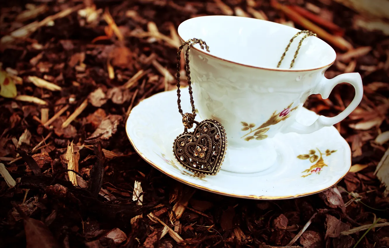 Фото обои осень, листья, камни, сердце, сухие, чашка, кулон, цепочка