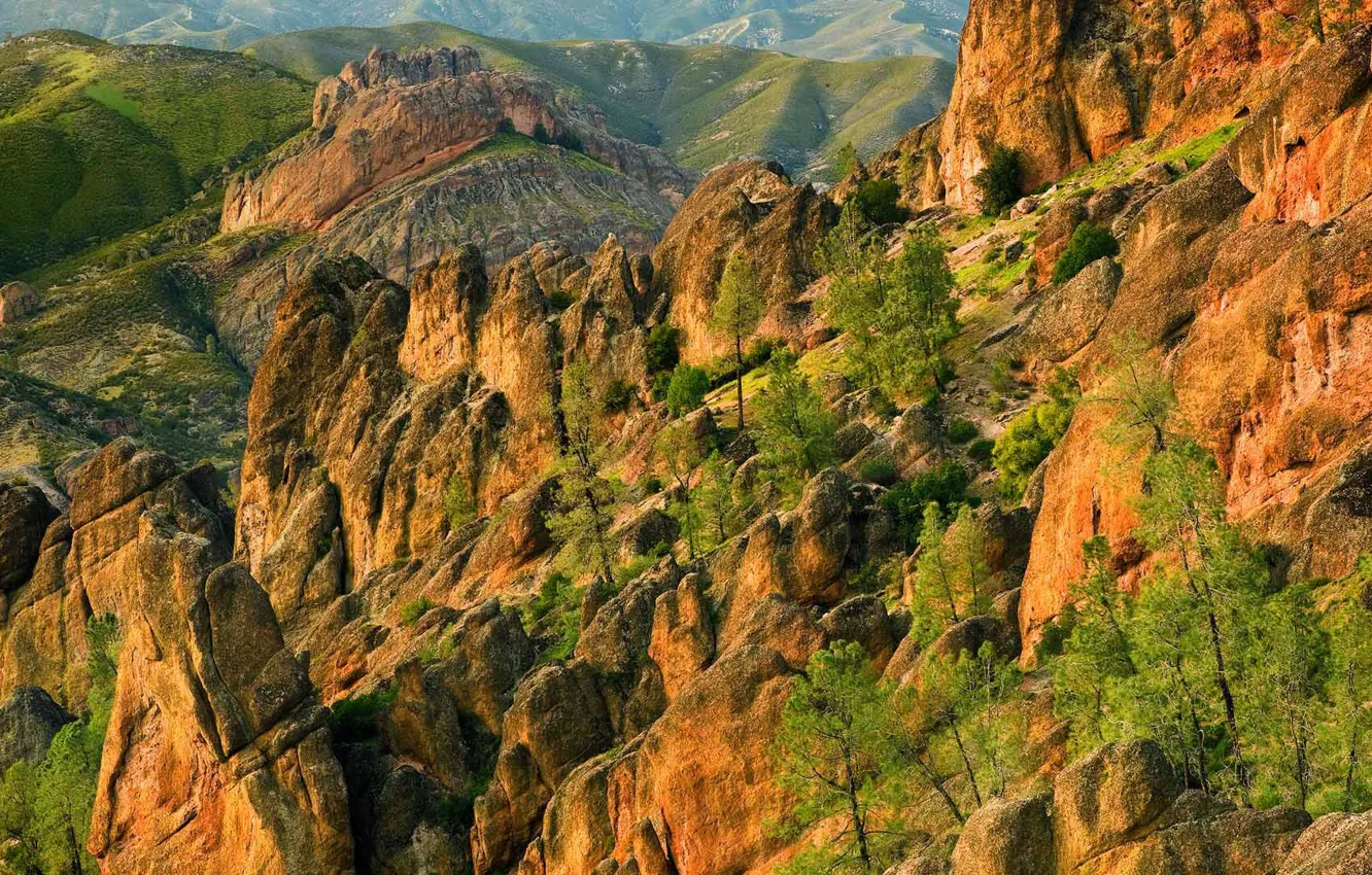 Фото обои деревья, горы, природа, скалы, США