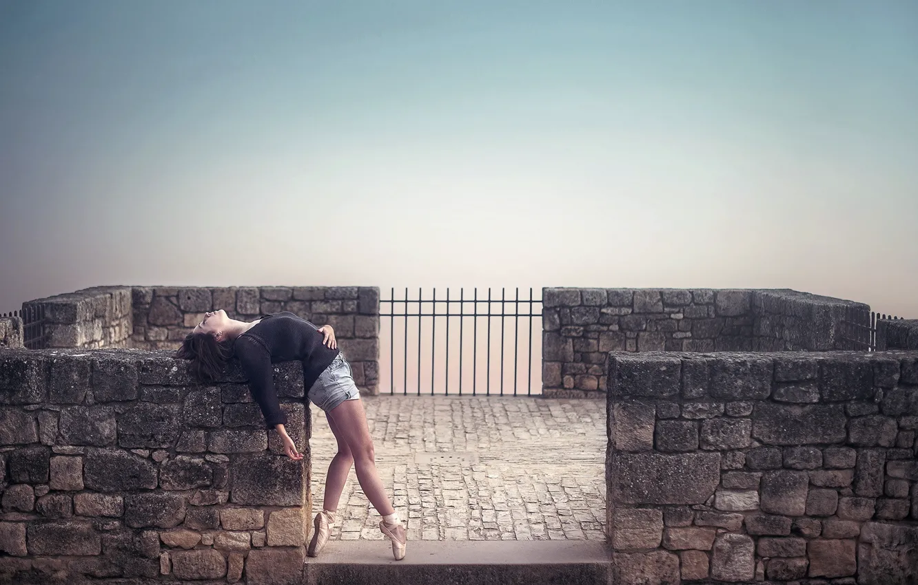 Фото обои девушка, поза, балерина